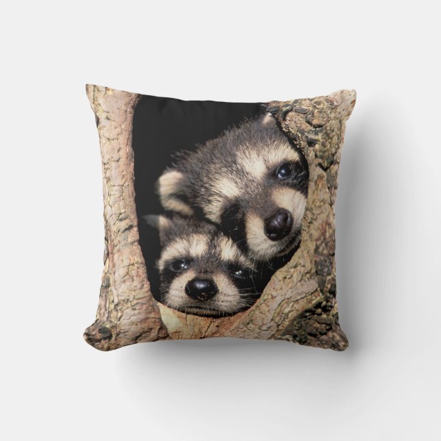 Baby Raccoons Peeking out of Tree Kussen (Voorkant)