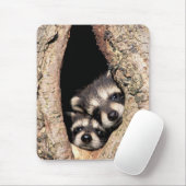 Baby Raccoons Peeking out of Tree Muismat (Met muis)