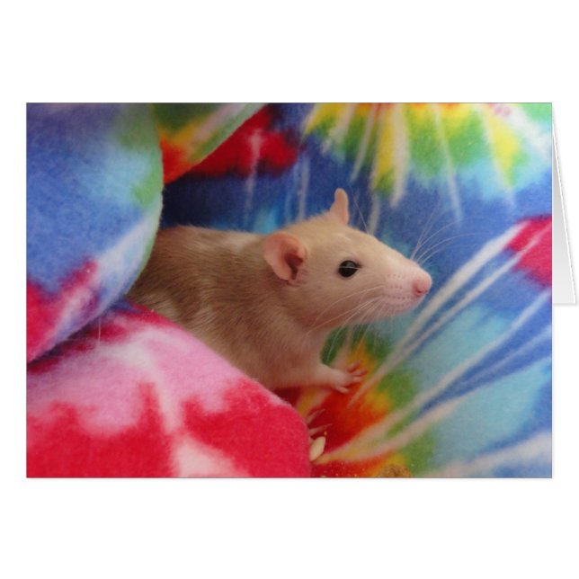 Baby Rat (Voorkant Horizontaal)