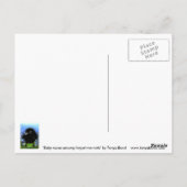 Baby raven briefkaart (Achterkant)