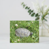 Baby Red Eared Slider Turtle Briefkaart (Staand voorkant)