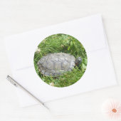 Baby Red Eared Slider Turtle Ronde Sticker (Envelop)