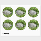 Baby Red Eared Slider Turtle Ronde Sticker (Vel)