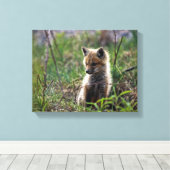 Baby Red Fox Canvas Afdruk (Insitu (Houten vloer))