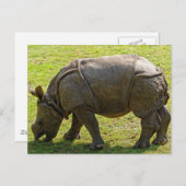 Baby Rhino Briefkaart (Voorkant / Achterkant)