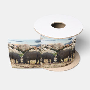 Baby Rhinoceros Life Lesson Lint