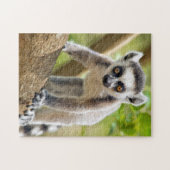 Baby ringstaartmaki legpuzzel (Horizontaal)