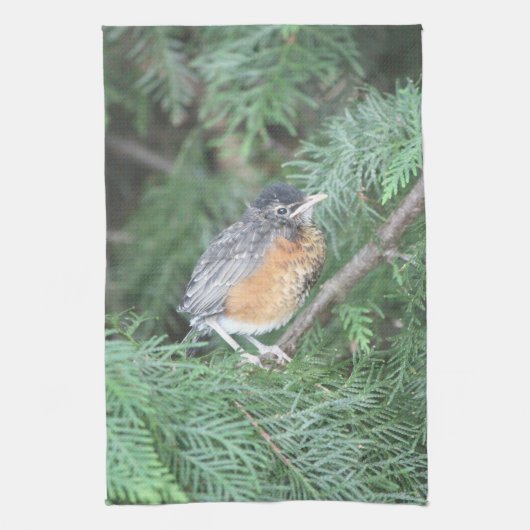 Baby Robin Handdoek (Verticaal)
