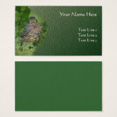 Baby Robin Jeune Oiseau Nature animale (Devant & derrière)