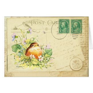 Baby Robin met Violets Briefkaart