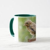 Baby Robin Mok (Voorkant links)