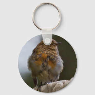Baby Robin Sleutelhanger