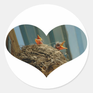Baby Robins Hart Sticker
