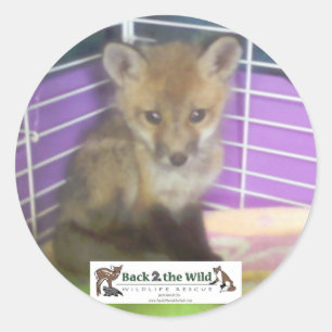 baby ronde sticker