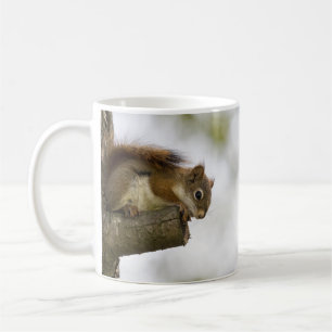 Baby Roodeekhoorn Koffiemok