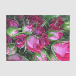 Baby rosebuisjes tissuepapier