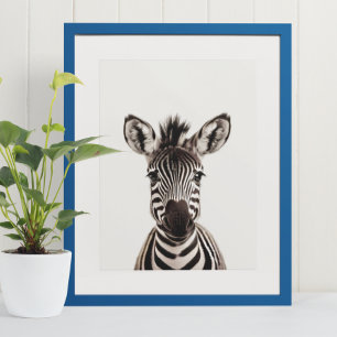 Baby Safari African Oerwoud Animals Zebra Poster