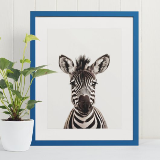Baby Safari African Oerwoud Animals Zebra Poster