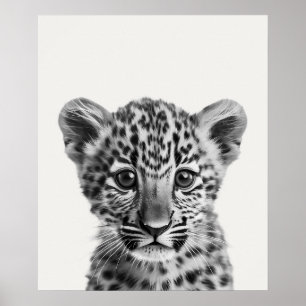 Baby Safari Afrikaanse Jungle Dieren Luipaard Poster