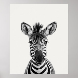 Baby Safari Afrikaanse Jungle Dieren Zebra Poster