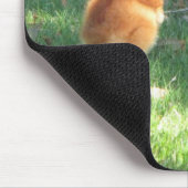 Baby Sandhill Crane Muismat (Hoek)