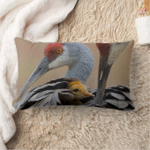 Baby Sandhill Kussen (Deken)