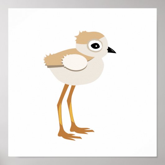 Baby Sandpiper of Pipy Plover Chick Poster (Voorkant)