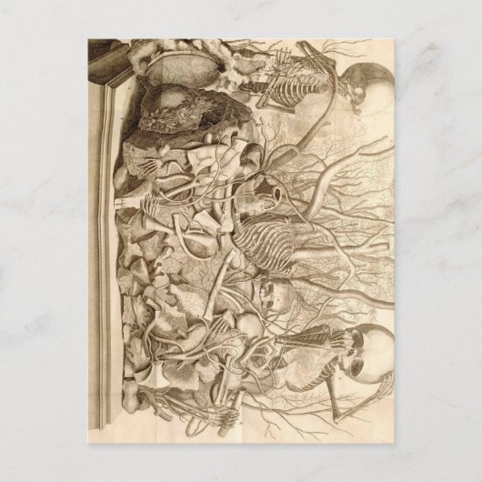 Baby Scavengers Briefkaart (Voorkant)