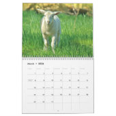 Baby Schapenlamp 2022 Kalender (Mar 2026)