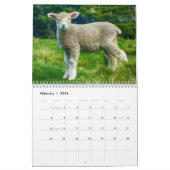 Baby Schapenlamp 2022 Kalender (Feb 2026)