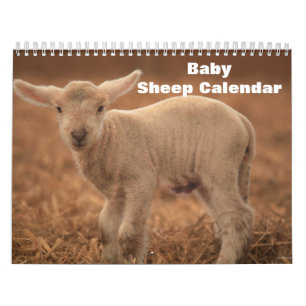 Baby Schapenlamp 2022 Kalender