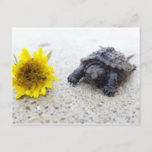 Baby schildpad met dandelion briefkaart