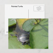 Baby schildpad op Lilypad Items Briefkaart (Voorkant / Achterkant)
