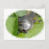 Baby schildpad op Lilypad Items Briefkaart (Voorkant)