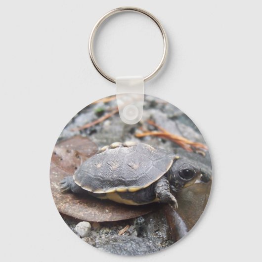 baby schildpad sleutelhanger (Voorkant)