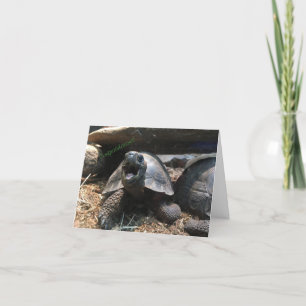 baby schildpad wenskaart (gefeliciteerd) kaart