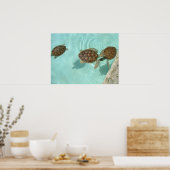 Baby schildpadden poster (Keuken)