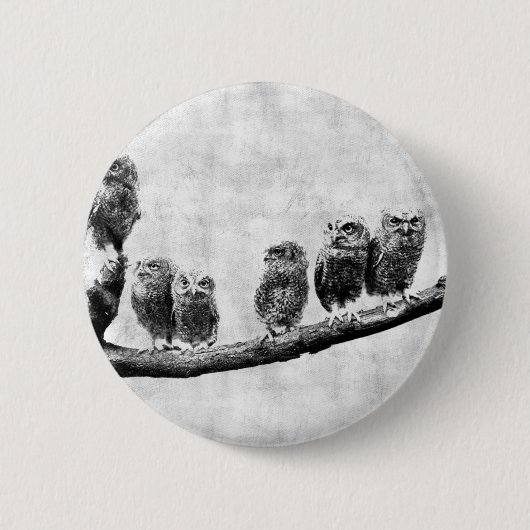 Baby Screech Owls Button (Voorkant)