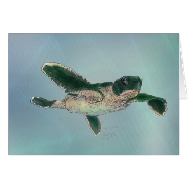 Baby sea Turtle (Devant horizontal)
