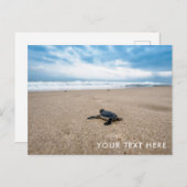 Baby Sea Turtle sur la plage Carte postale (Devant / Derrière)