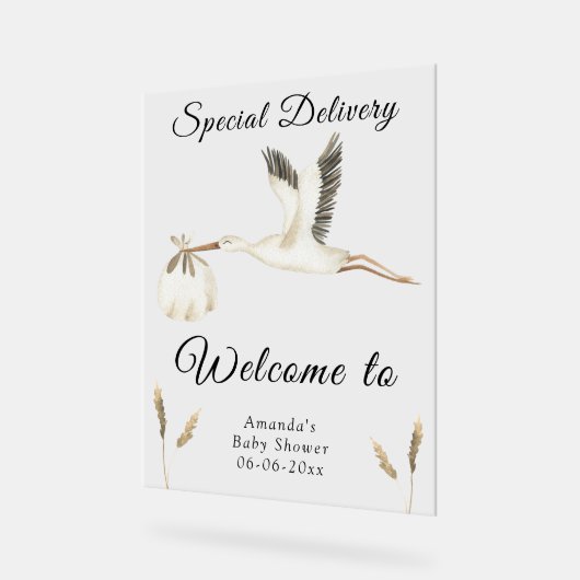 Baby shower de cigogne d'aquarelle Bienvenue (Angle)
