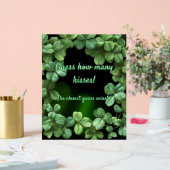 Baby shower des Cloches Vertes (Mariage)