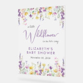 Baby shower Fleur sauvage Boho Bienvenue Froid (Angle)
