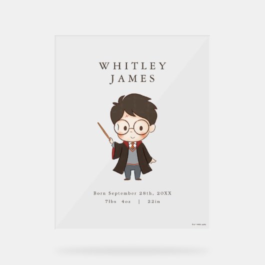 Baby shower Harry Potter simple (Recto)