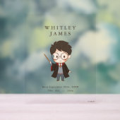 Baby shower Harry Potter simple (Neutre)