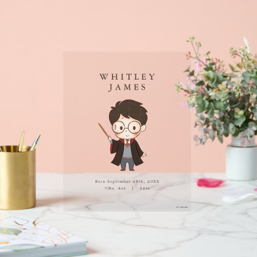 Baby shower Harry Potter simple (Mariage)
