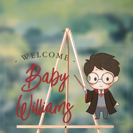 Baby shower Harry Potter simple (Neutre)