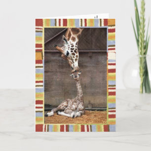 Baby Shower Invitation