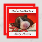 Baby Shower Kaart (Voorkant / Achterkant)