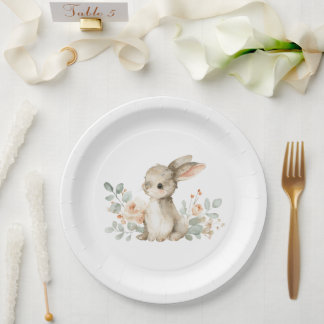 Baby Shower Plates Bunny Themed Baby Shower Papieren Bordje